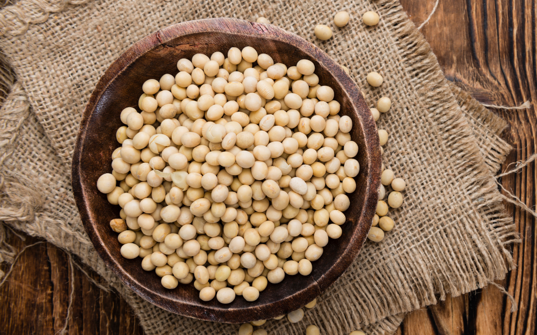 soy beans which are strong phytonutrients 